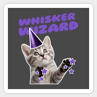 Cute Funny Cat Wizard Sticker